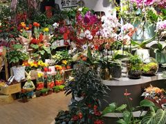 -Olé精品超市(上海虹桥南丰城店)
