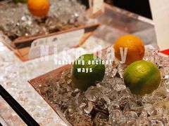 -Hi City·城市之巅