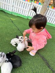 -萌宠亲子动物乐园(槐房万达店)