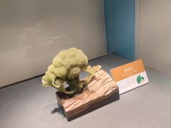 -大连自然博物馆
