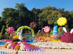 -上海共青森林公园