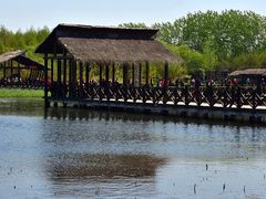 -溱湖国家湿地公园