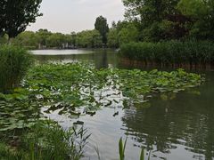 -海淀公园
