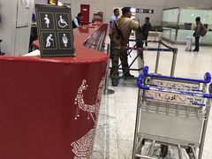 -英迪拉·甘地国际机场