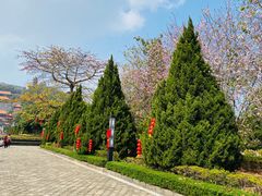 -南沙天后宫景区