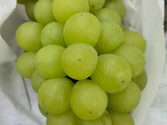 -美家乐农庄·露营·团建(大治路店)