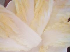 -九鼎轩火锅大排挡