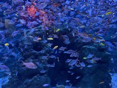 -成都浩海立方海洋公园