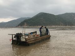 -北岐滩涂