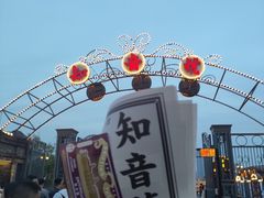 -武汉知音号