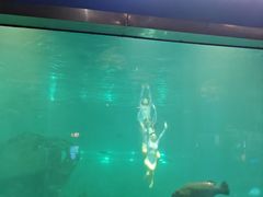 -福州罗源湾海洋世界旅游区