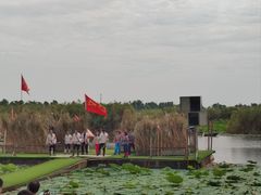 -洪湖生态旅游区