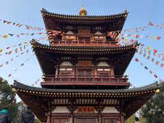 -庐山风景名胜区-东林大佛