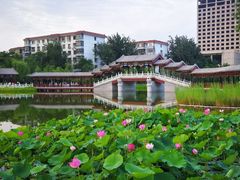 -西海子公园