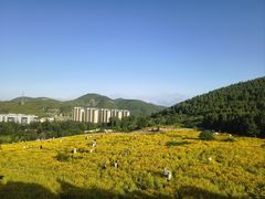 -佛慧山