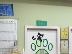 -瑞鹏宠物医院·夜间急症·心超·猫科(祖庙分店)