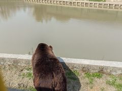-上海野生动物园