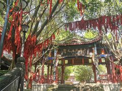 -丰都鬼城名山景区