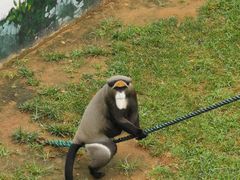 -西霞口神雕山野生动物世界