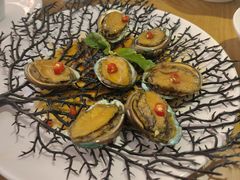 -波螺油子·海肠捞饭·青岛菜(银座店)