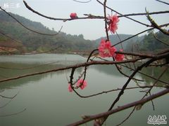 -南国桃园旅游度假区