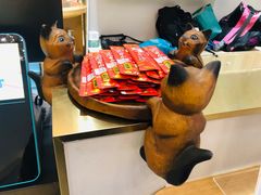 -飞行喵MR PILOT|猫舍·猫咖(静安大融城店)