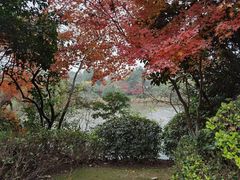 -桃花岛景观公园