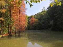 -云溪植物园