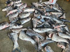 -岳各庄批发市场(西四环中路店)