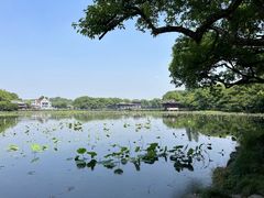 -杭州植物园