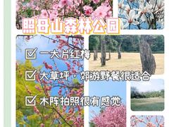 -佛图关公园