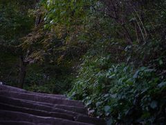 -终南山南五台景区