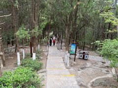 -云龙山