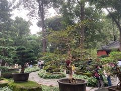 -成都武侯祠博物馆