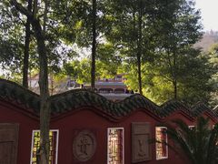 -青城山
