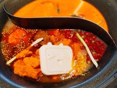 水牛奶冬阴功红油辣锅双拼-生活如沸·顺德水牛奶火锅(大学路店)