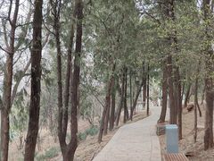 -大运河源头遗址公园