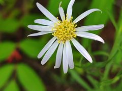 -北京金海湖景区