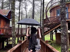 -洛阳白云山景区