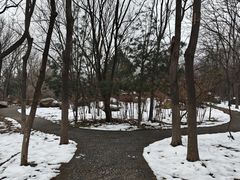 -洛阳市隋唐城遗址植物园