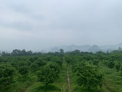 -九屋西岭生态度假景区