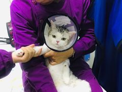 -达爱动物医院·犬猫分区·CT·复杂眼科(远洋山水分院)