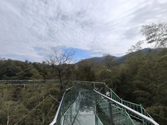 -陶祖圣境风景区