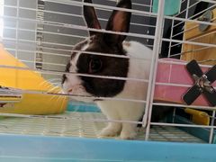 -UltraForce超源健身私教工作室(长楹天街精品店)