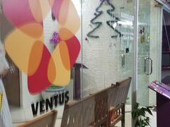 -ventus spa 沙巴亚庇正宗精油按摩会所
