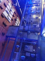 -尼克Playtime(欢乐海岸店)