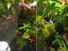 -繁花足道(梅江店)