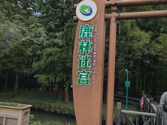 -溱湖国家湿地公园