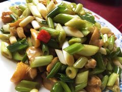 凉拌假鲍鱼-老苏扬饭店