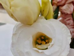 -Line 咖啡(石厦花园店)